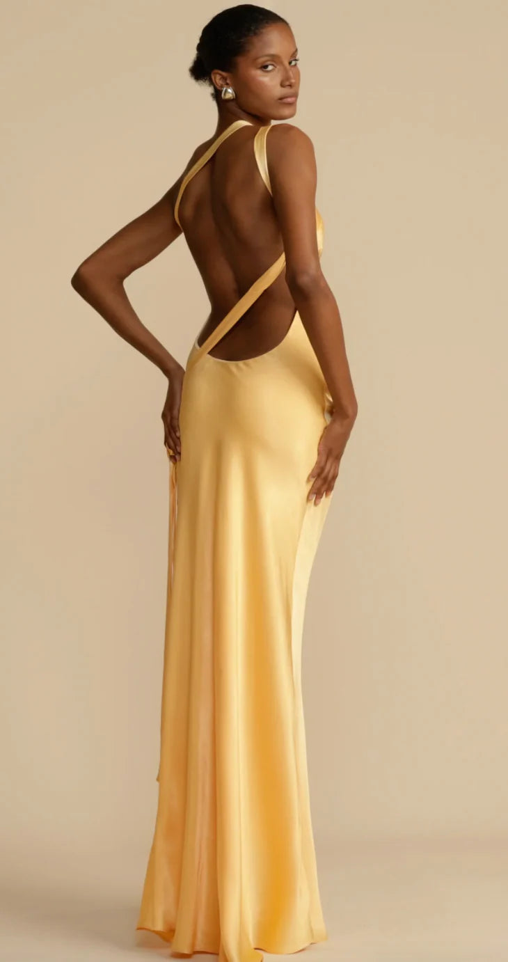 MONIQUE DRESS- ARCINA ORI