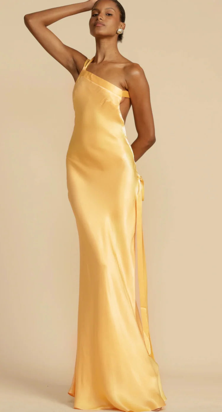MONIQUE DRESS- ARCINA ORI