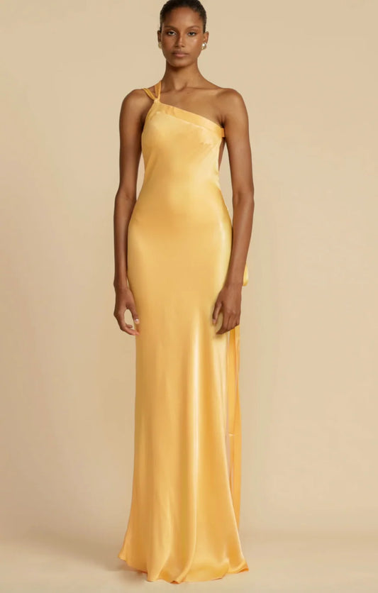 MONIQUE DRESS- ARCINA ORI